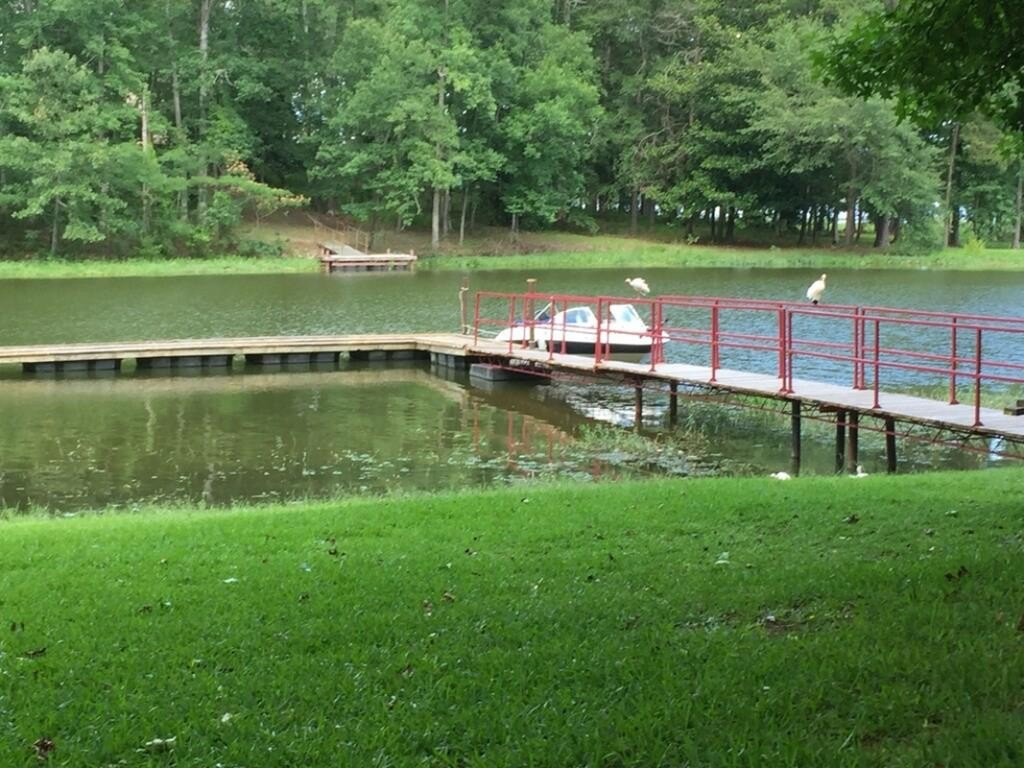 Single Family 3BR 2BA - 250 Ann Drive, Eufaula, AL