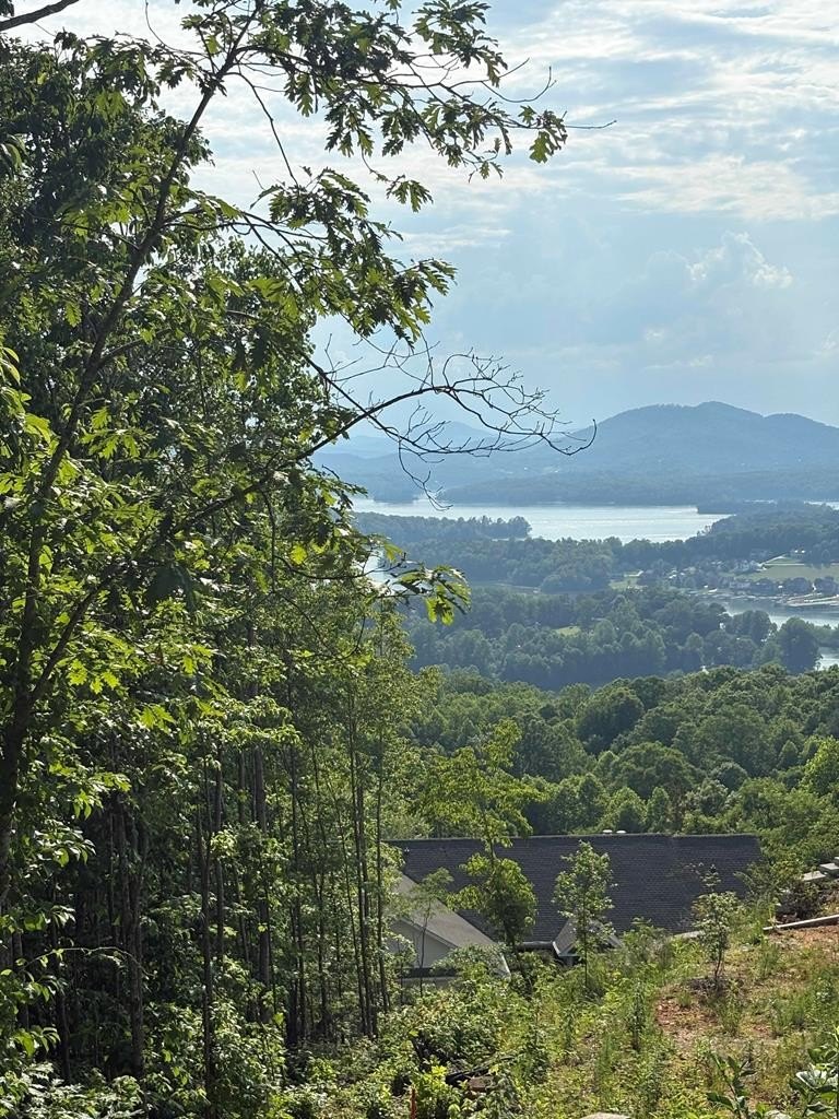 Other - Lot 46 Dan Knob (Lot), Hayesville, NC