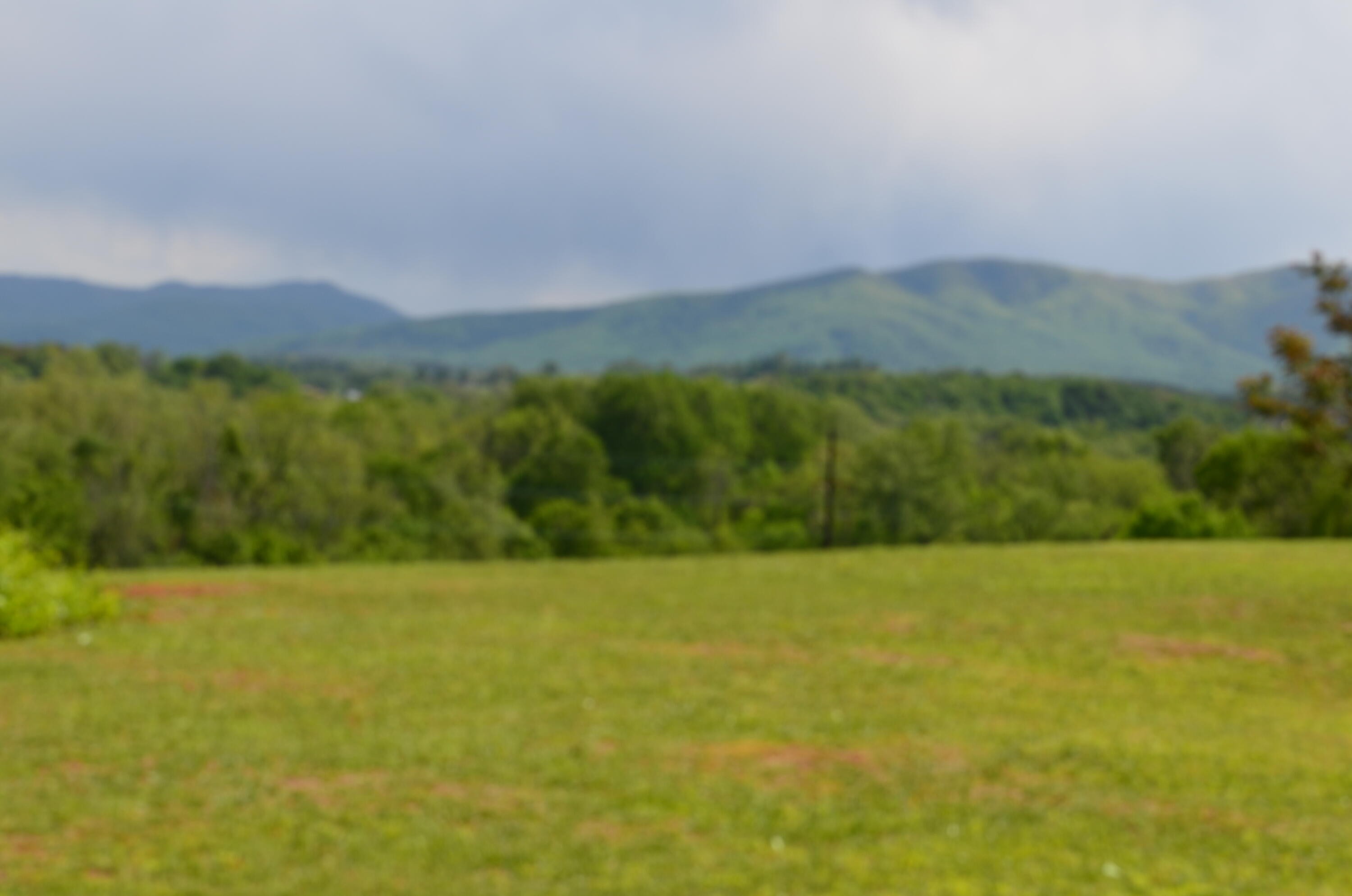 Other - Golf Villa Drive lot: 20R, Greeneville, TN