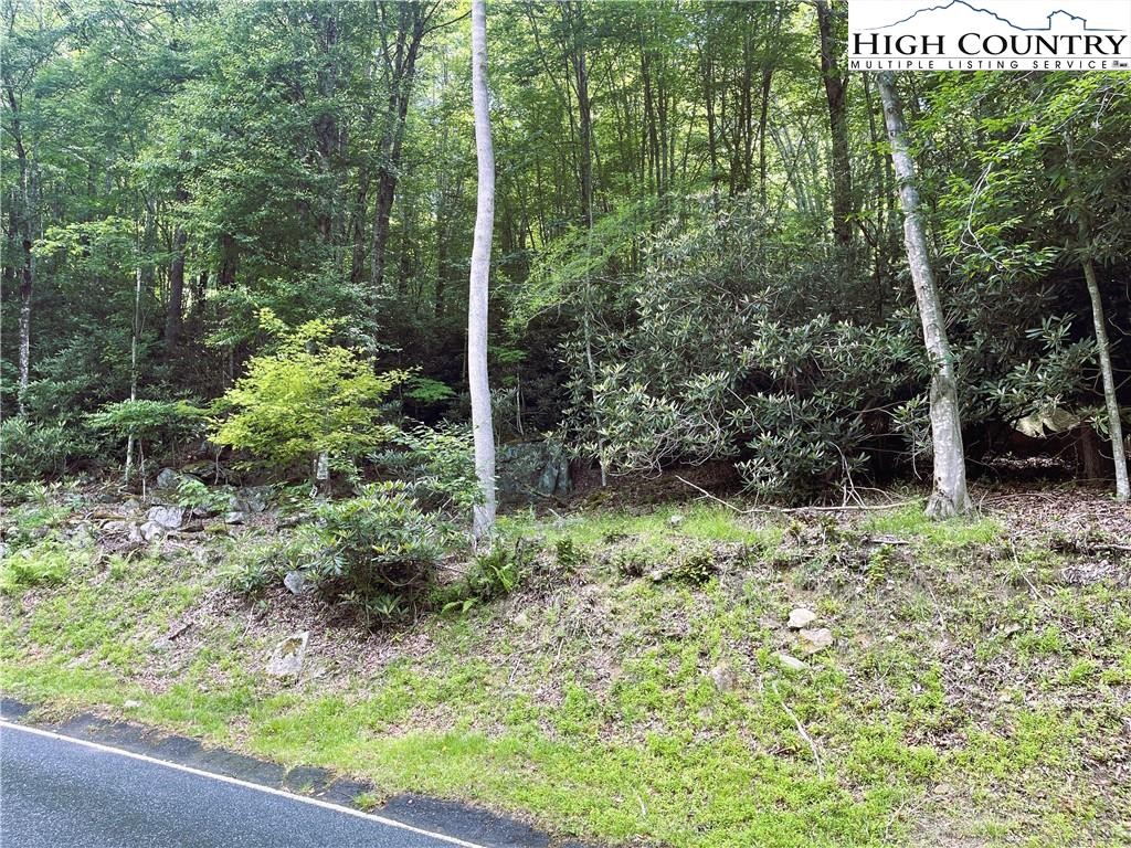Other - 523 Pinnacle Ridge Road, Beech Mountain, NC