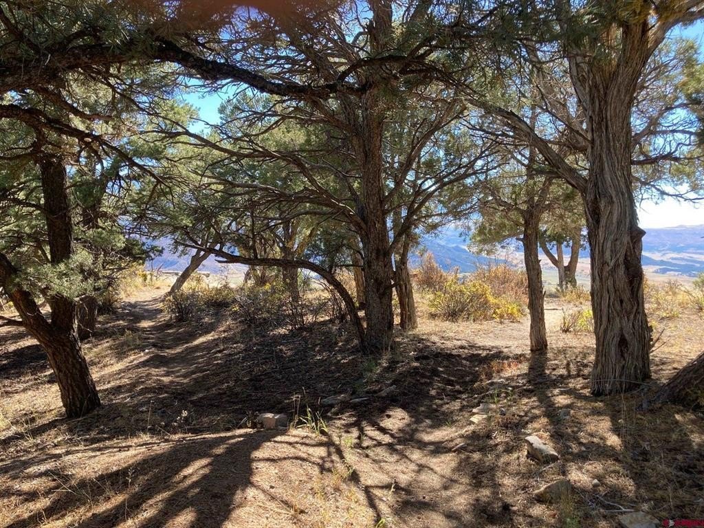 Single Family - Lot 4 Pine Drive, Ridgway, CO