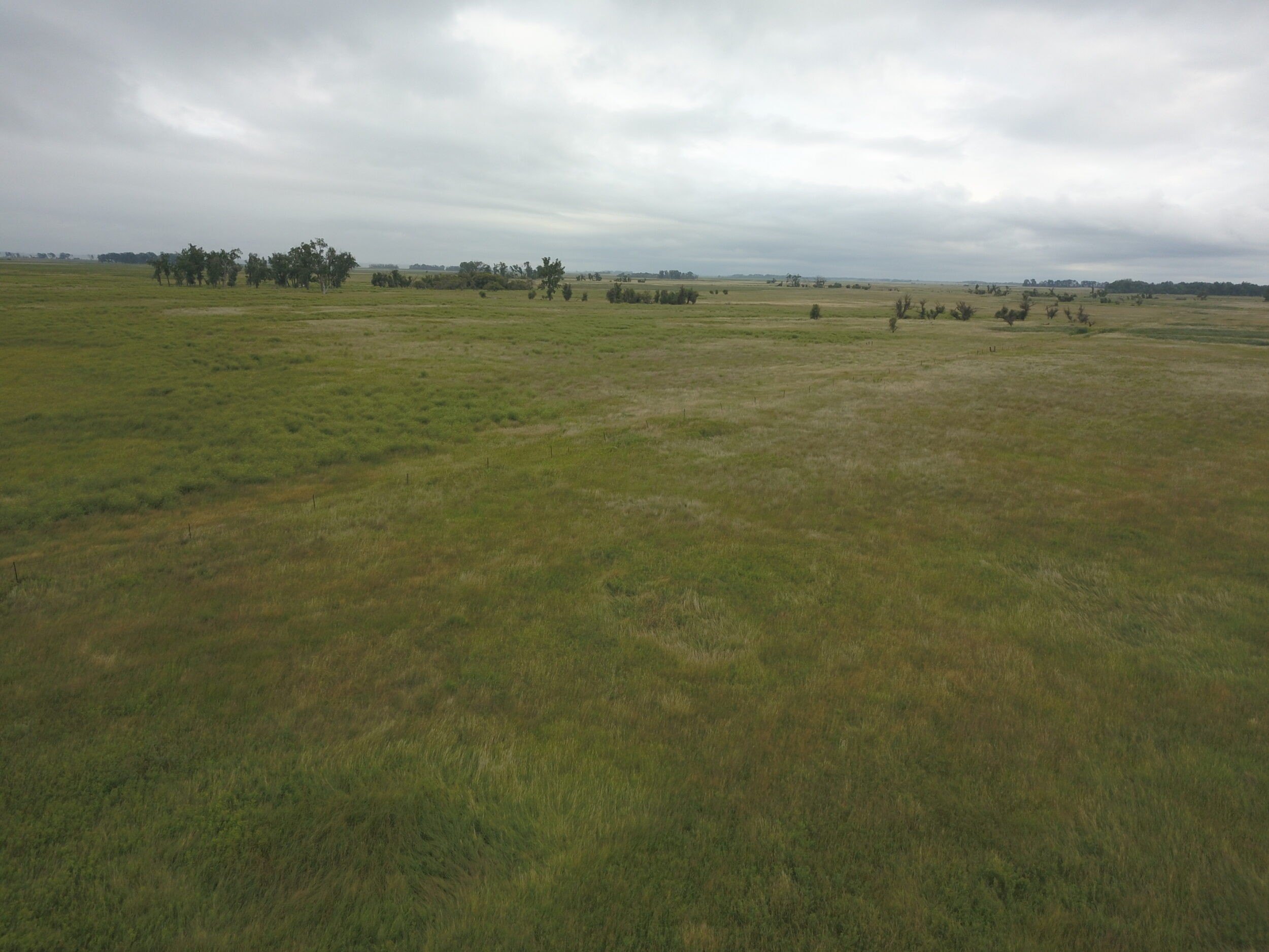 Other - 0000 119th Ave SE, Ludden, ND