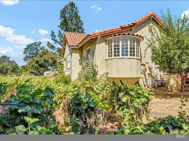 Other 5BR 3BA - 315 N White Cottage Road N, Angwin, CA