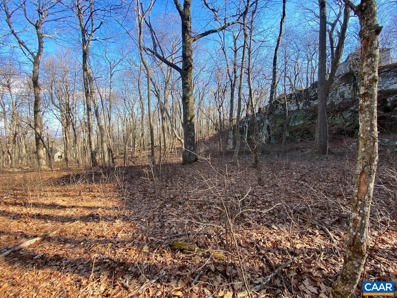 Other - 462 DEER SPRINGS LN, WINTERGREEN RESORT, VA