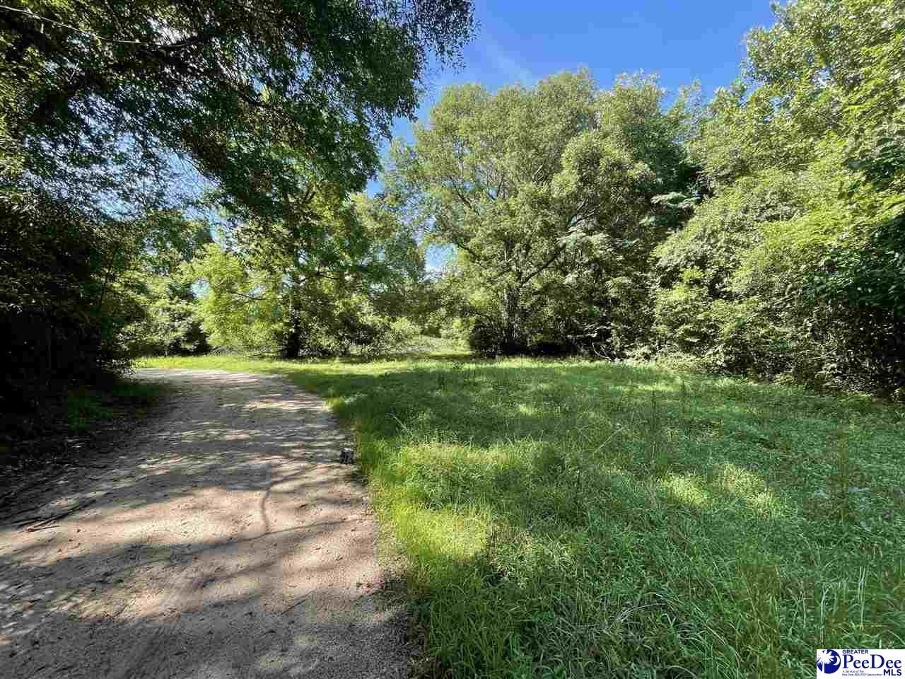 Other - 52 2nd Avenue, Bennettsville, SC