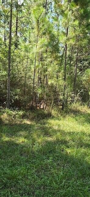 Single Family - Lot A Glenview Road, Milton, FL
