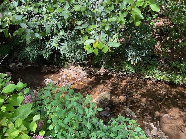 Other - 184/196 Bear Bend lot: 36&37, Blairsville, GA