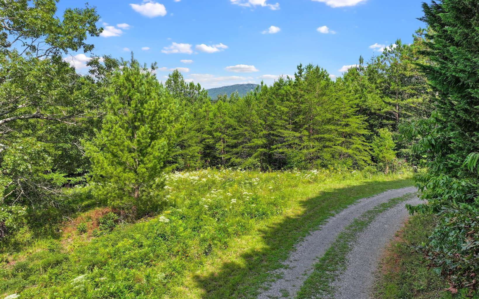 Other - N View Drive lot: 2, Mineral Bluff, GA