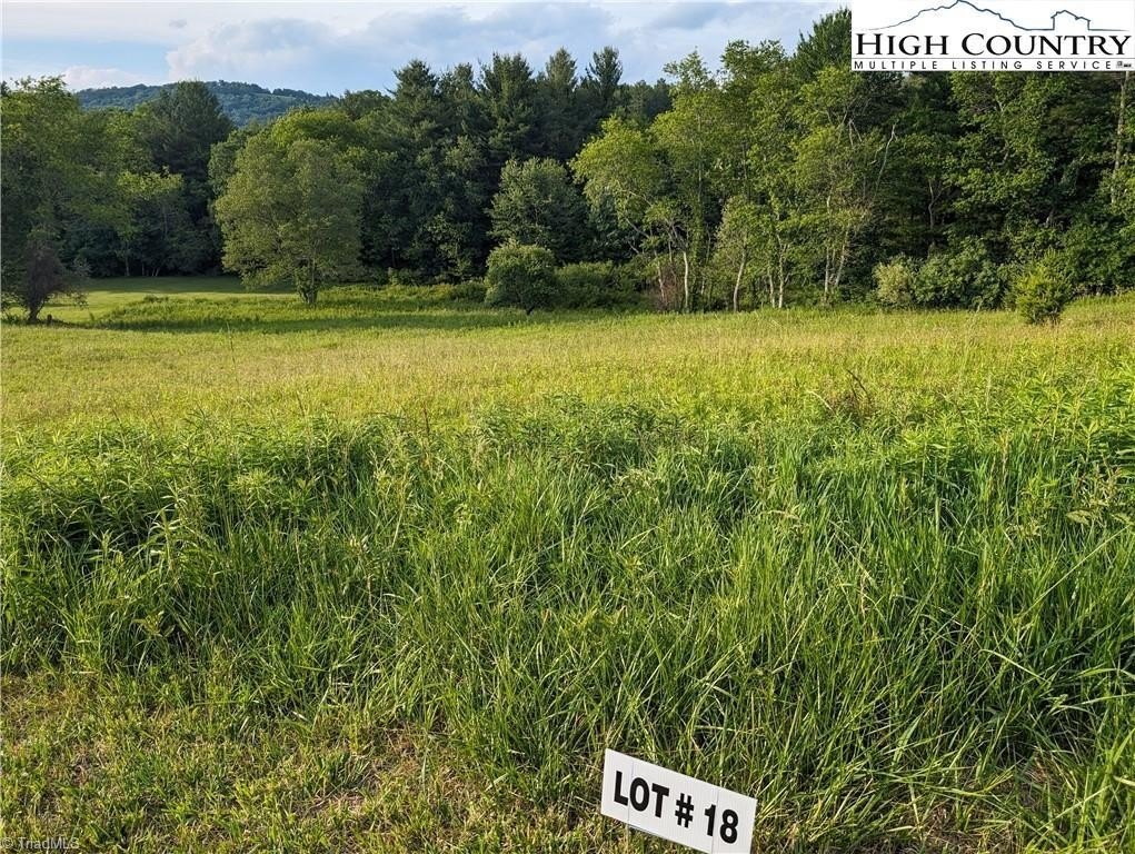Other - Fraser Road lot: 18, Sparta, NC