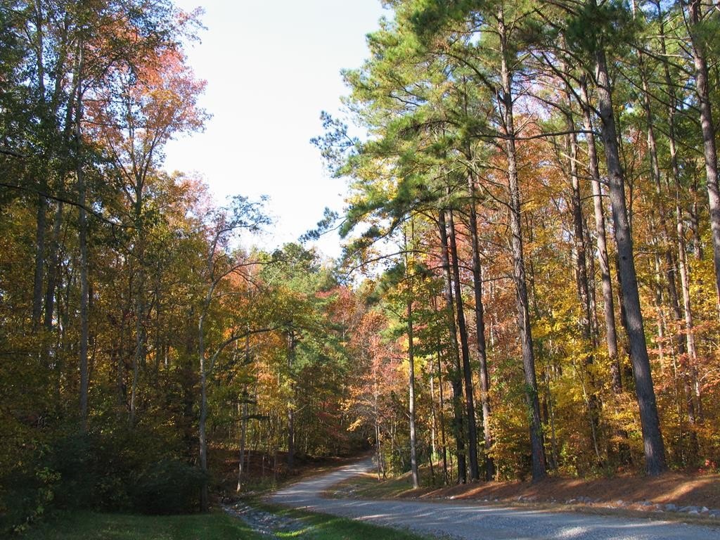 Single Family - 12 Glenwood Lane, Irvington, VA