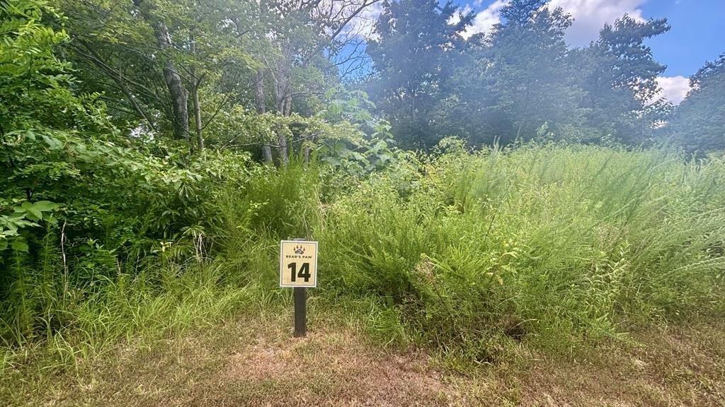 Other - 260 Running Bear Lane, Ellijay, GA