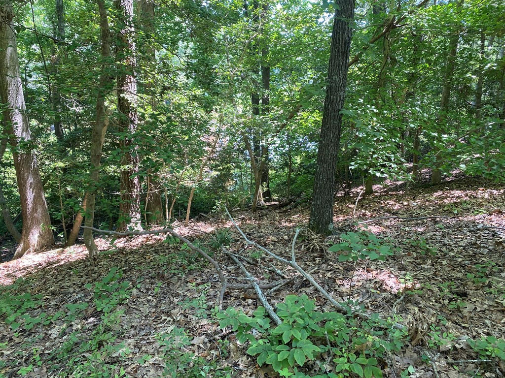 0 Deer Trl Dr  
