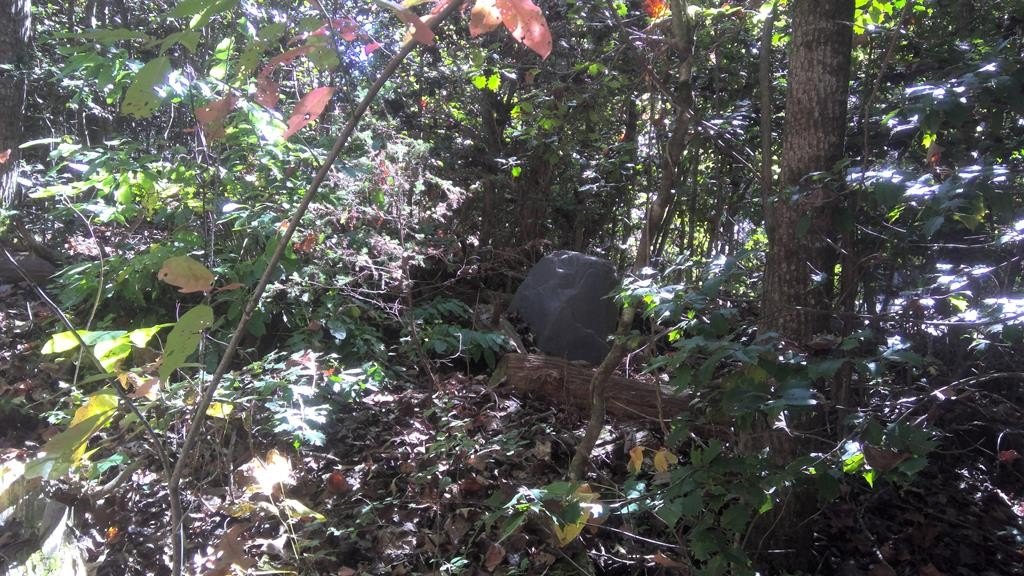 Other - LT 18 Mountaineer Rd. lot: 18, Whittier, NC