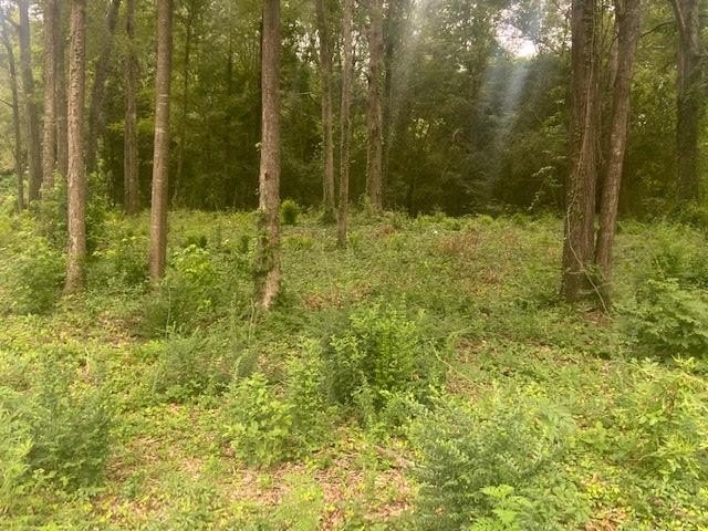 Other - 706 South ST, Waynesboro, MS