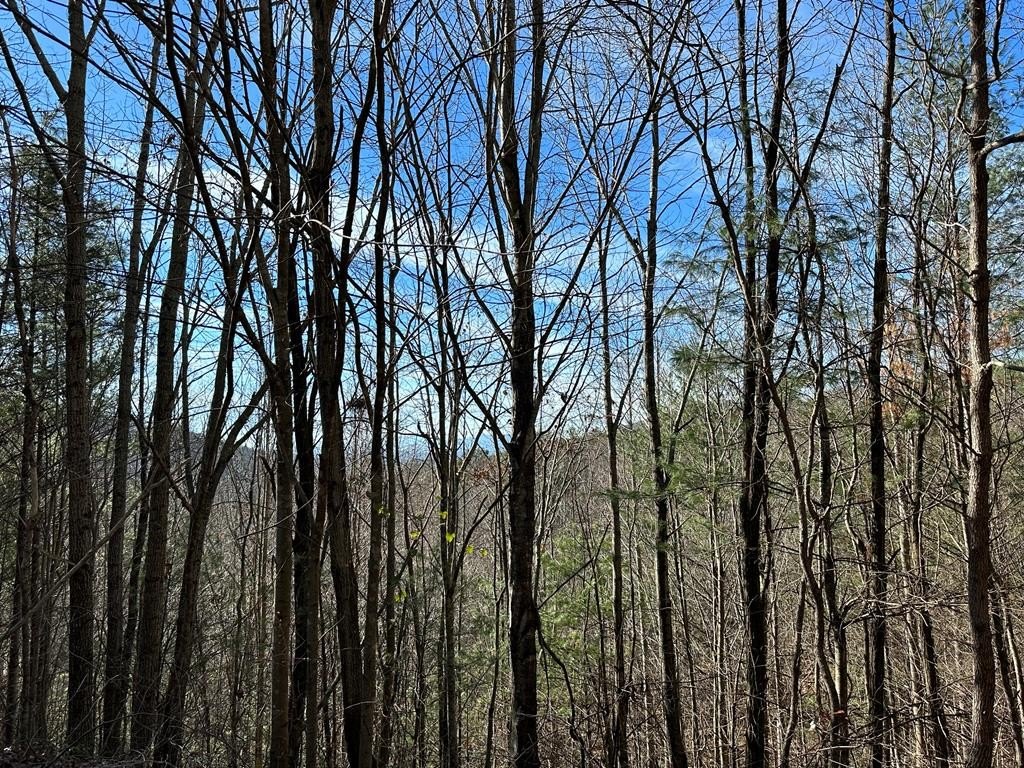 Other - 5 lots Ali Drive, HAYESVILLE, NC