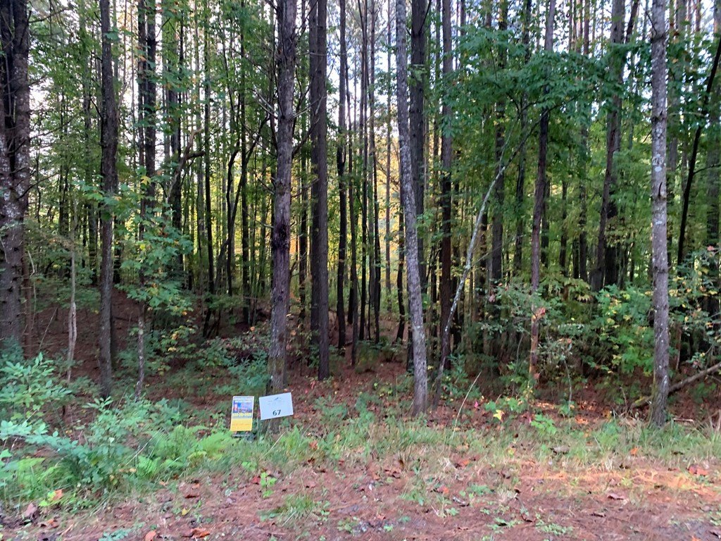 Other - 67 Sol Lane, Murphy, NC