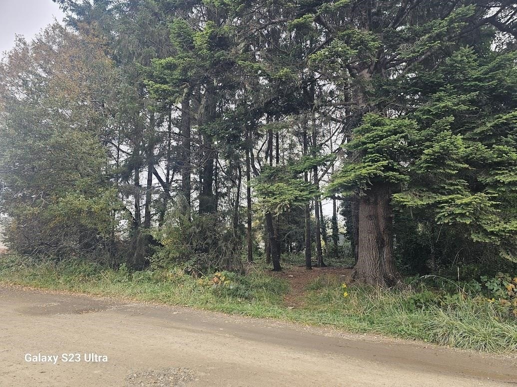 Single Family - 000 State Street, Crescent City, CA