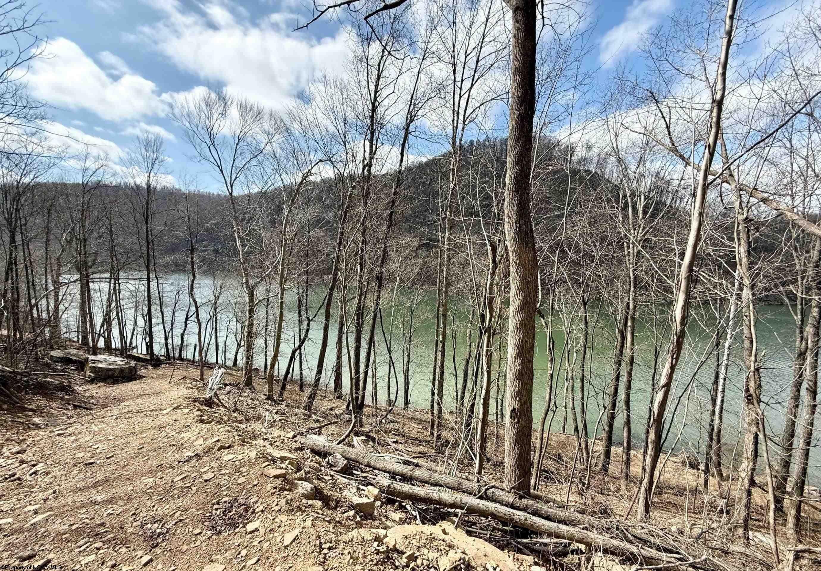 Other - Brooklyn Way lot: 9, Moatsville, WV