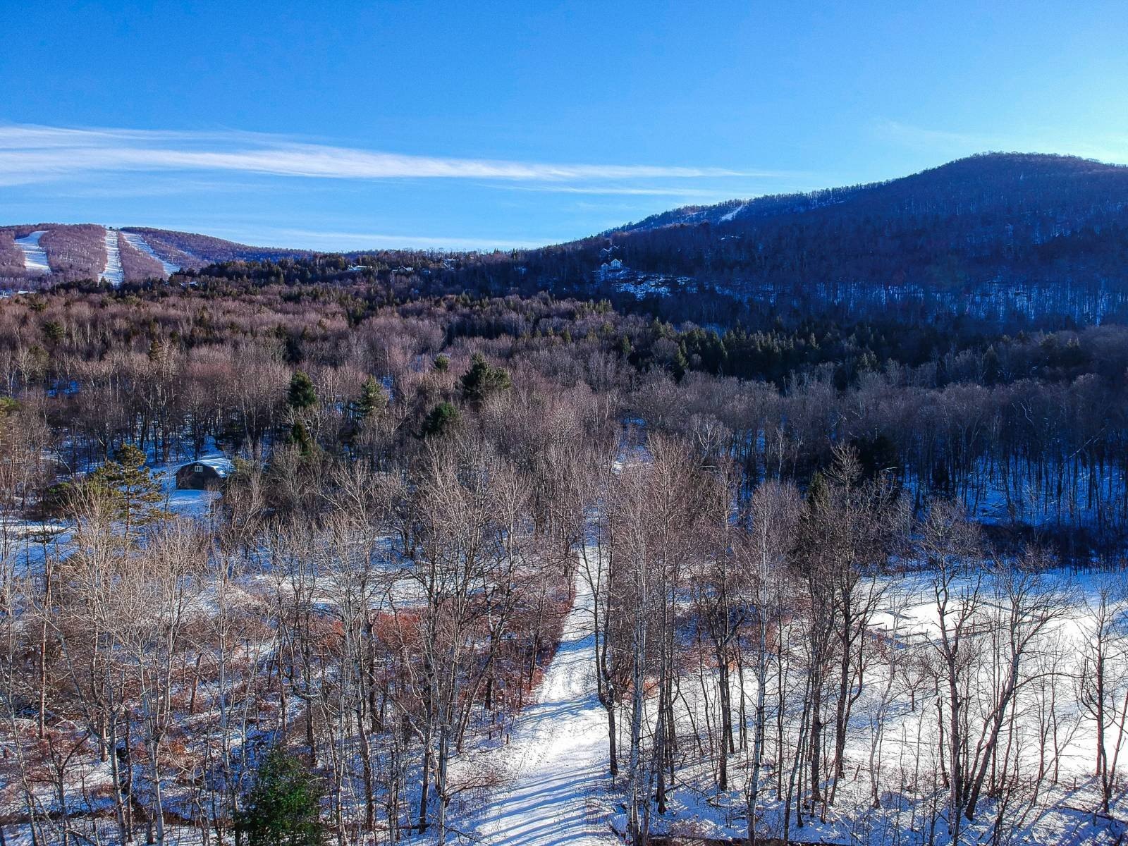 Other - L19.11 South St, Windham, NY