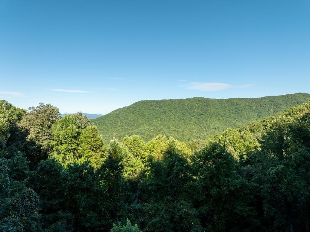 Other - Lot 9 Moss Creek Trail, Ellijay, GA