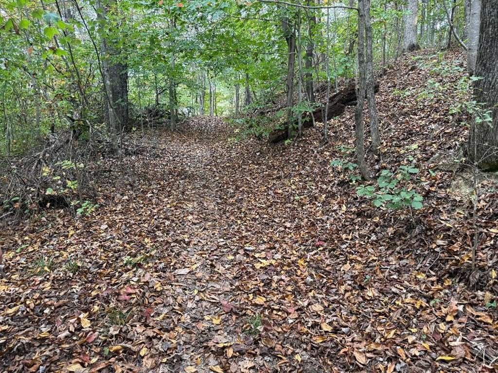 Other - Highland Ave lot: 8-12, Richlands, VA