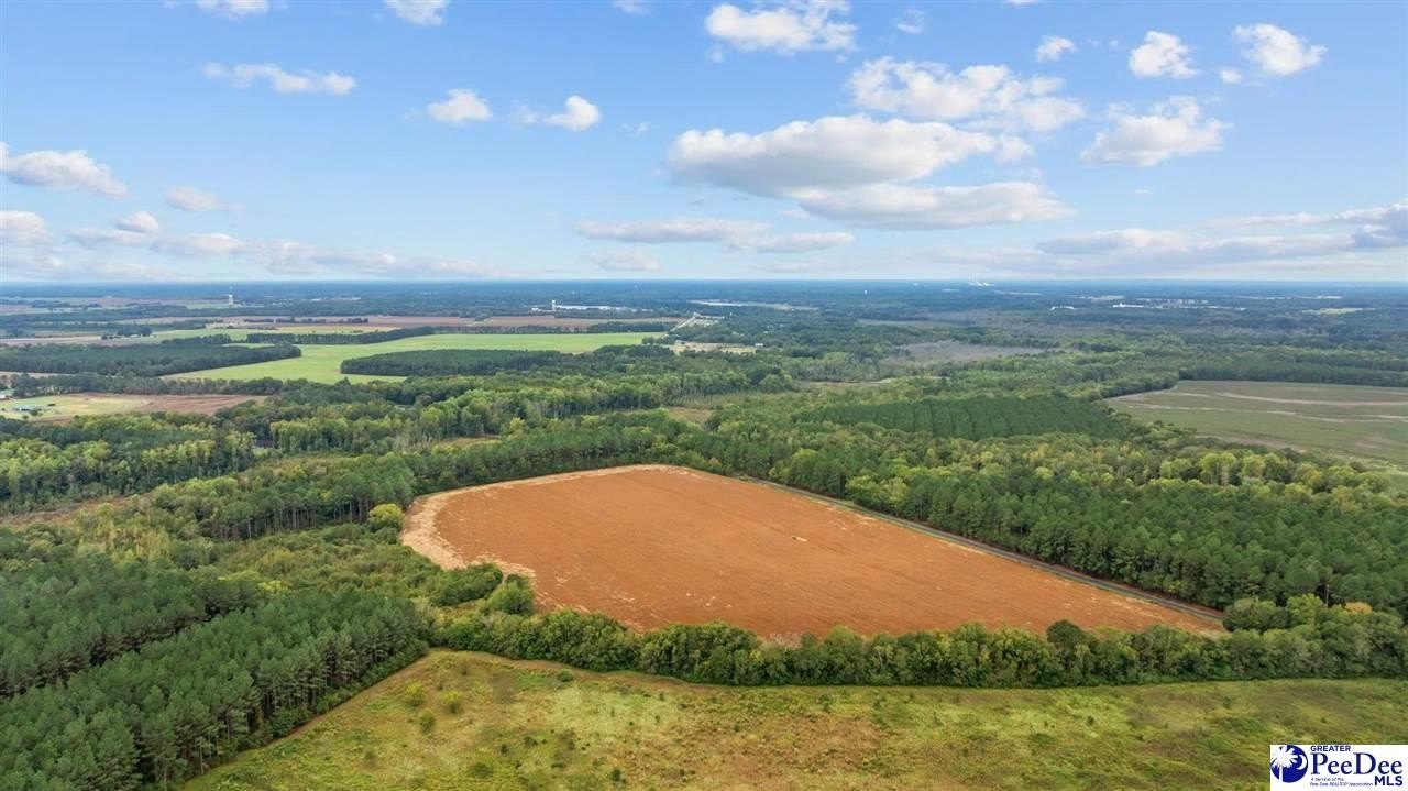 Other - Beverly Creek Rd., Bennettsville, SC
