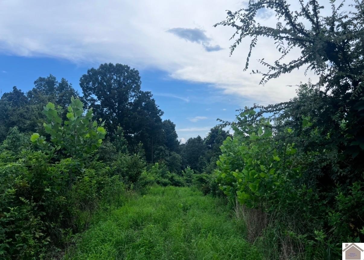 Other - Fire Tower Rd., Cadiz, KY
