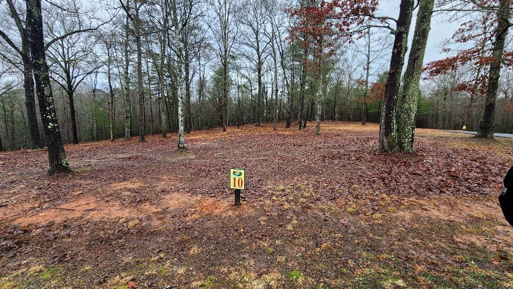 Other - 10 Arbor Creek Trail, Mineral Bluff, GA