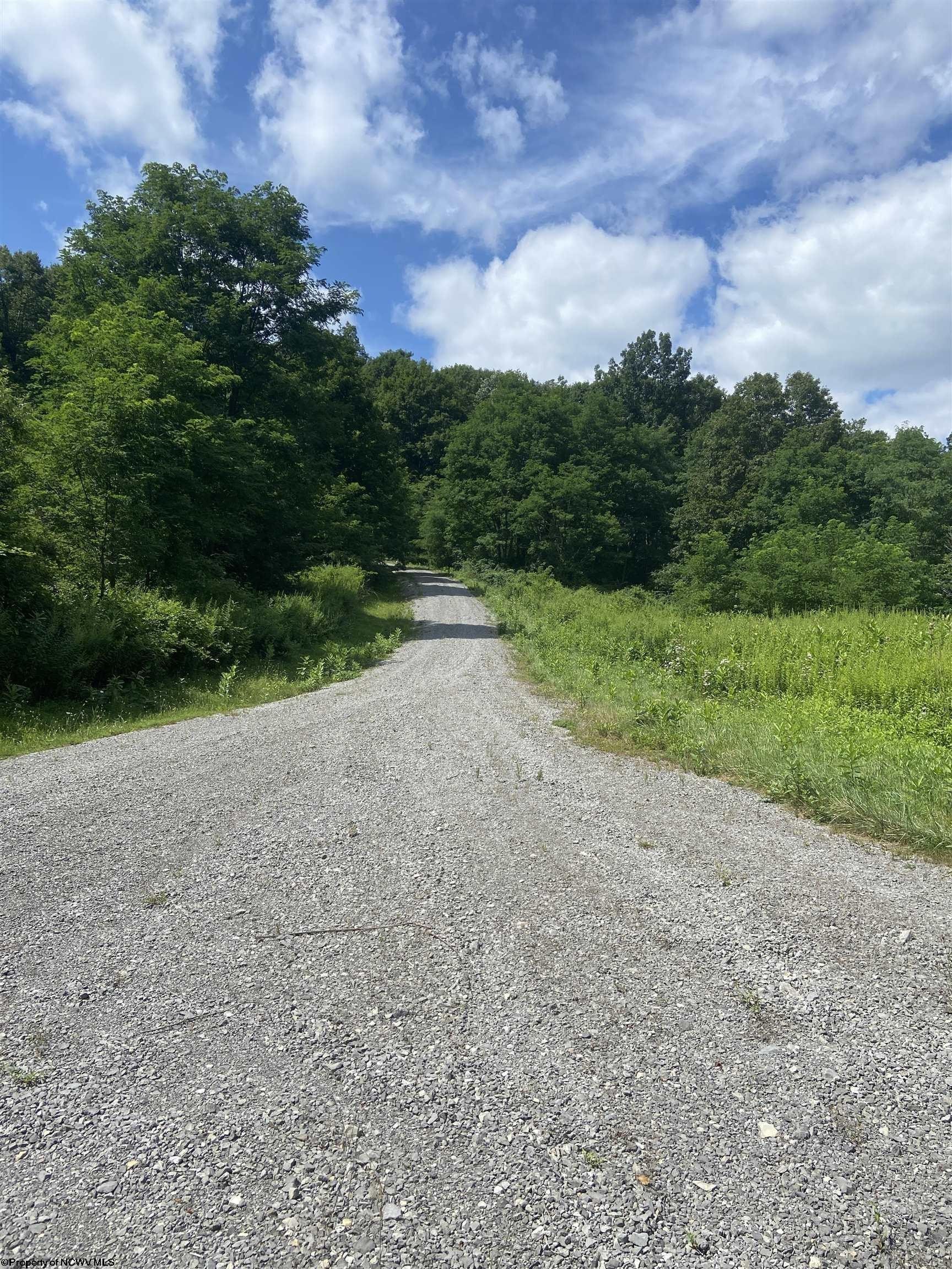 Other - Lot 133 Sunset Mountain Village Drive, Slaty Fork, WV