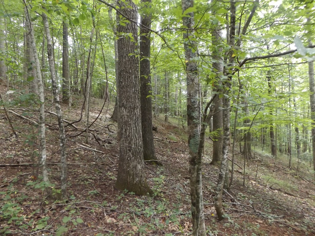 Other - Kanawha Ridge lot: 9, Dugspur, VA