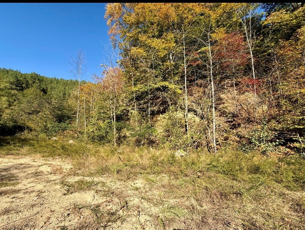Other - 0 Kidd Fork, Banner, KY