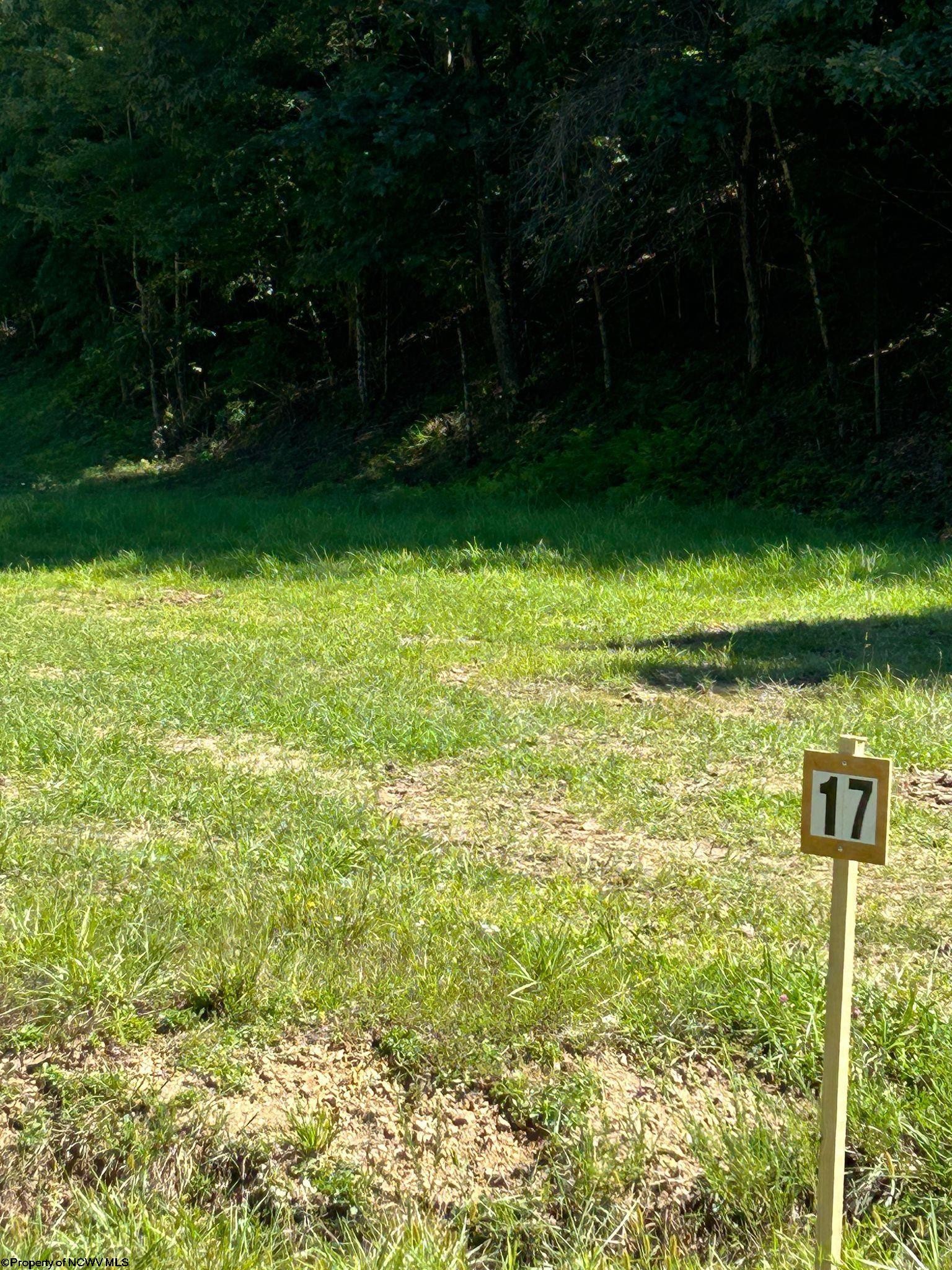 Other - Lot 17 Countryside Drive, Buckhannon, WV