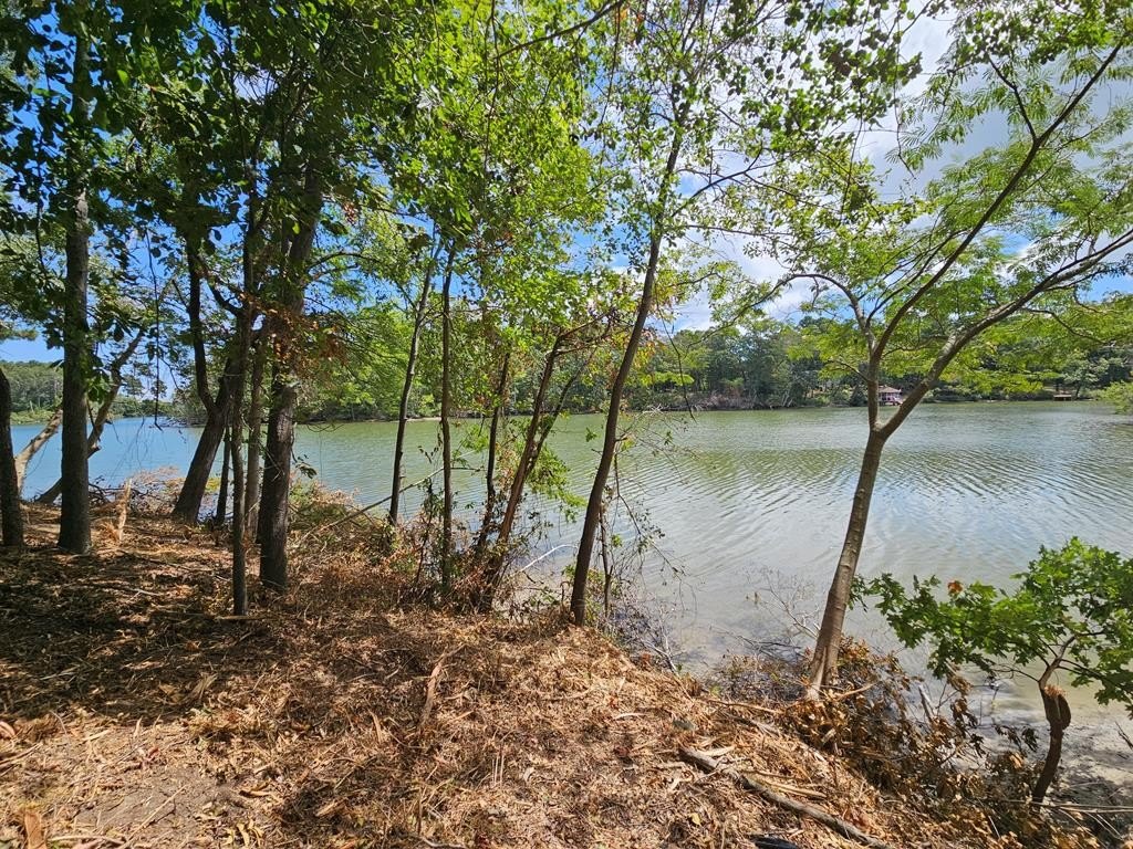 Single Family - Lot 258 White Sand Drive, Heathsville, VA