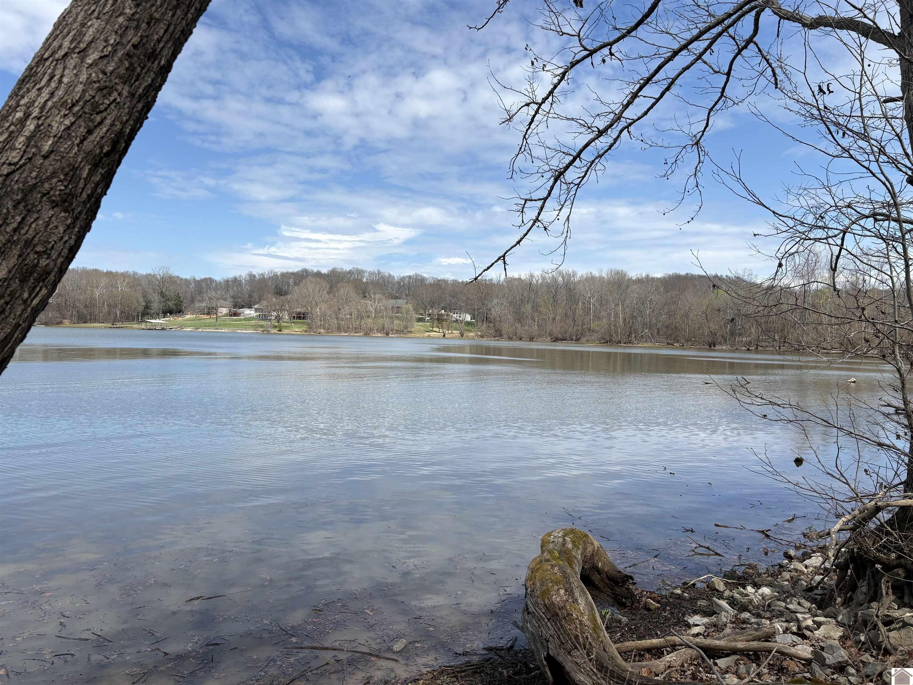 Single Family 4BR 3BA - 372 Rockcastle Lakeshore Dive, Cadiz, KY