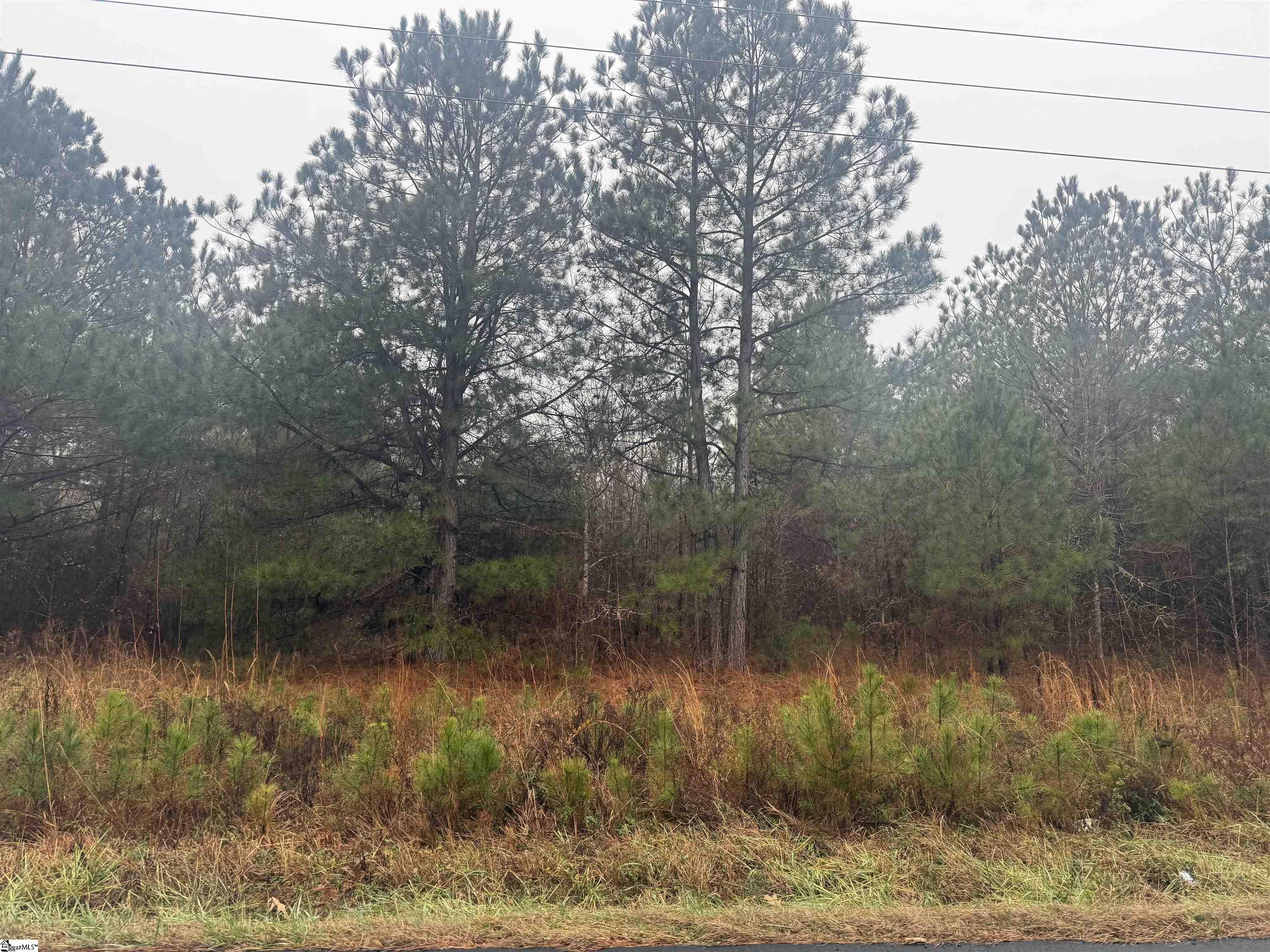 Other - Riverfork Road, Waterloo, SC