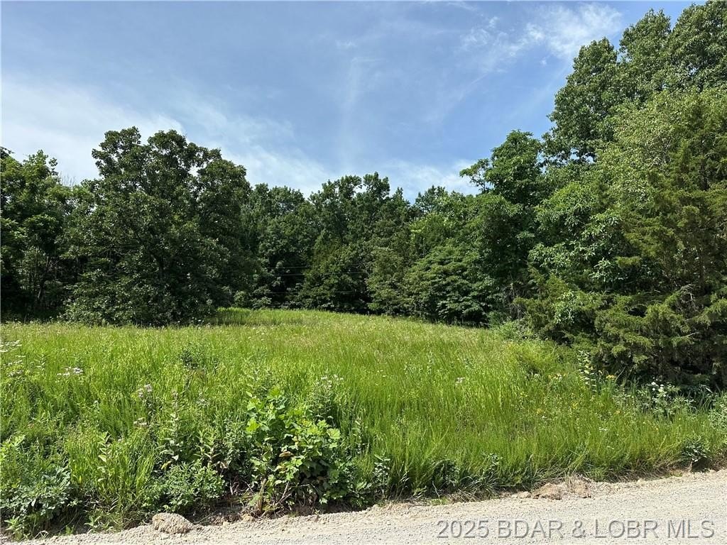 Other - LOT 5R Lick Creek Road, Edwards, MO