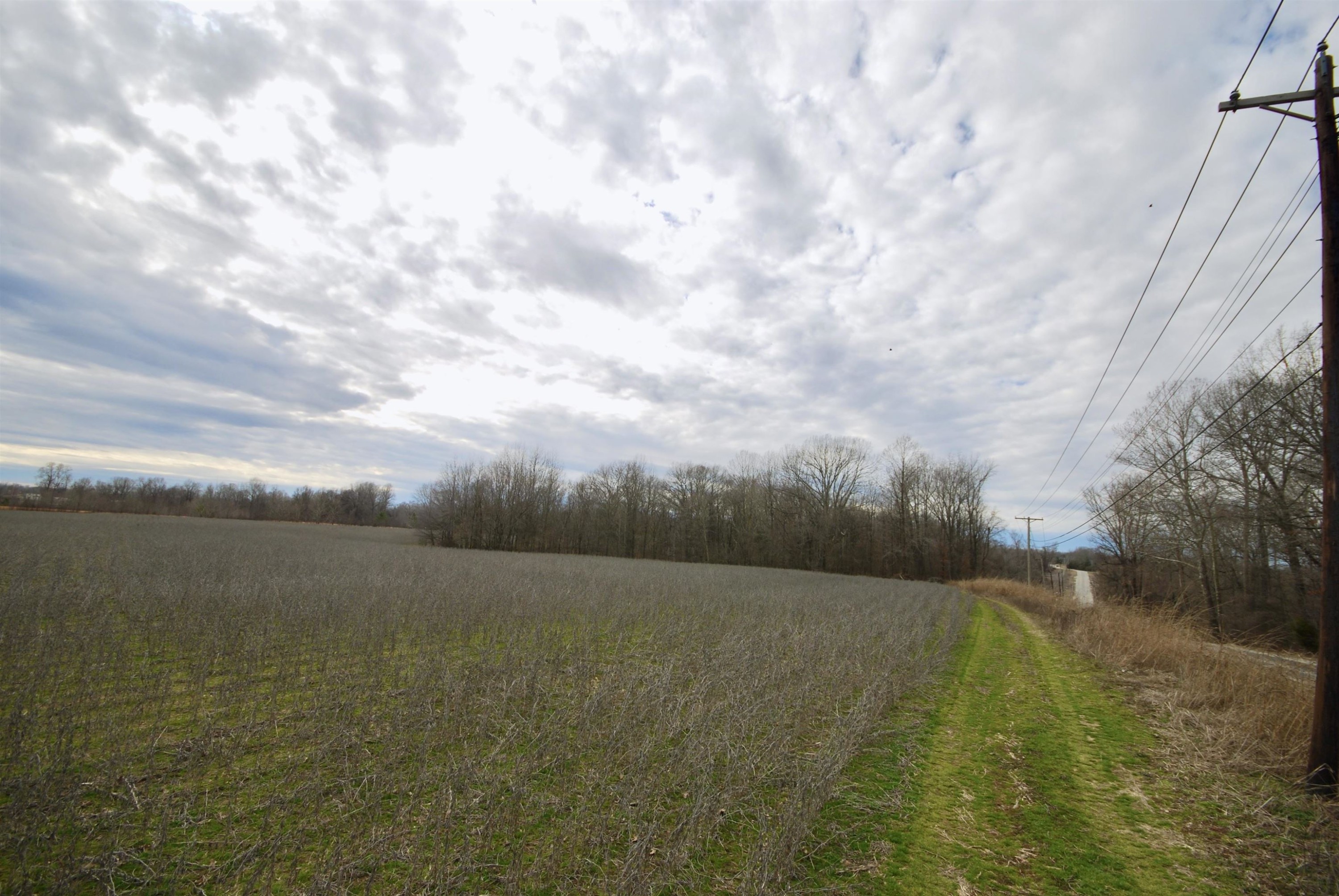 Other - Hwy 70 & Bedford White Road, Jackson, TN