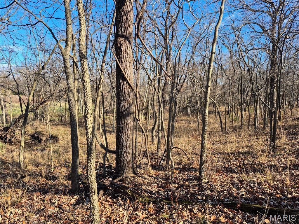 Plots and Land - 0 County Road 197 - Tract 1 (22+/- Acres), Williamsburg, MO