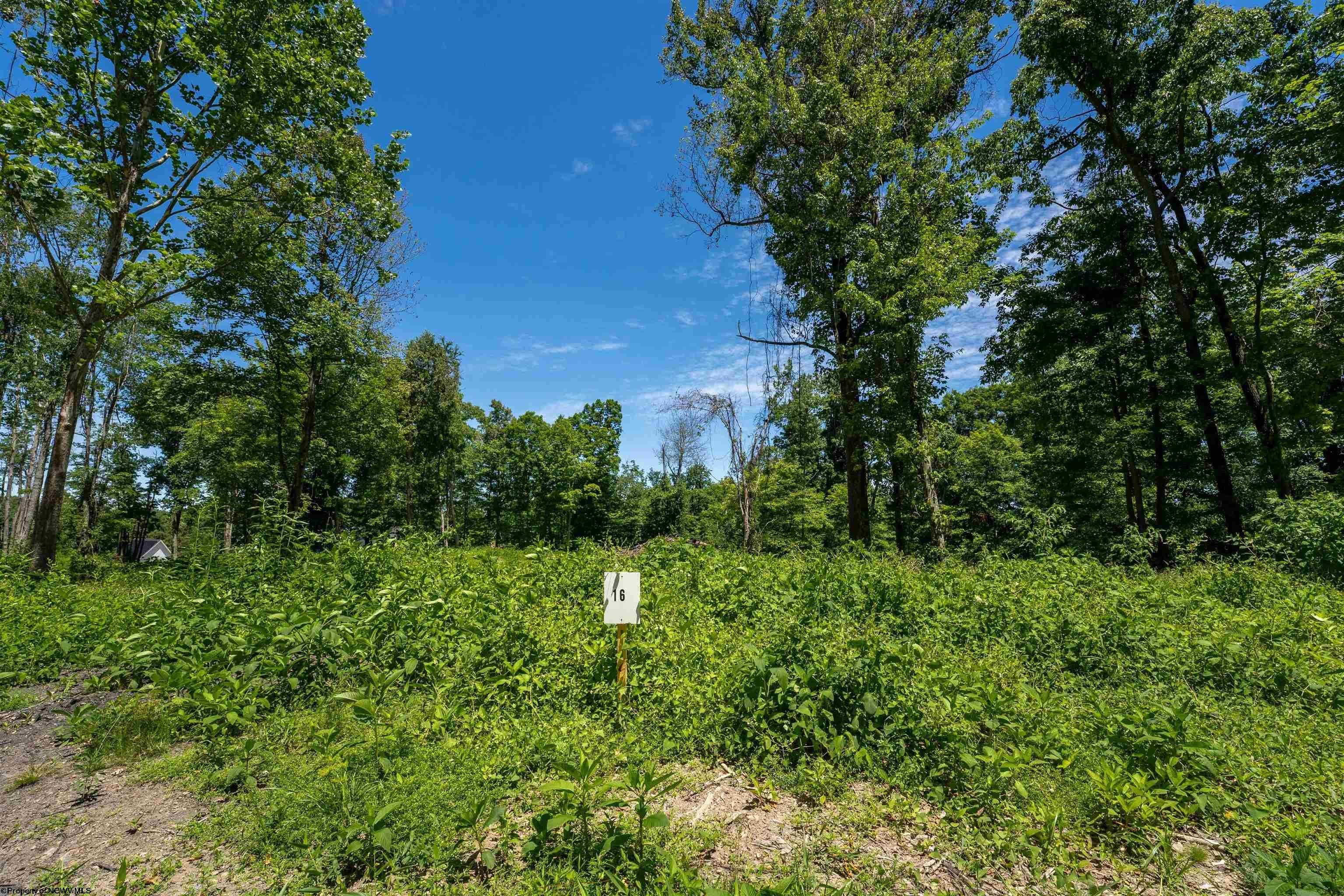 Other - Bowers Lane lot: 16, Morgantown, WV