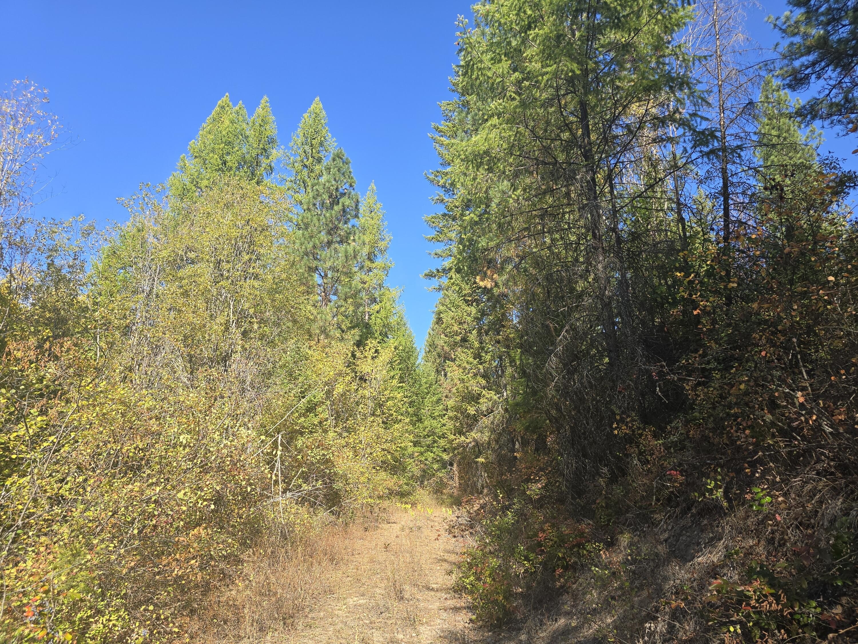 Other - 3XXX SAND CREEK RD, KETTLE FALLS, WA
