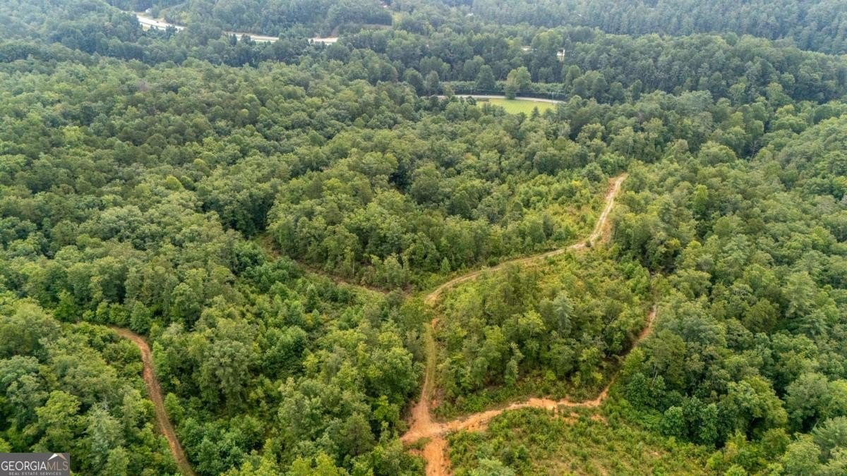 Plots and Land - 11094 Old 441 S, Lakemont, GA