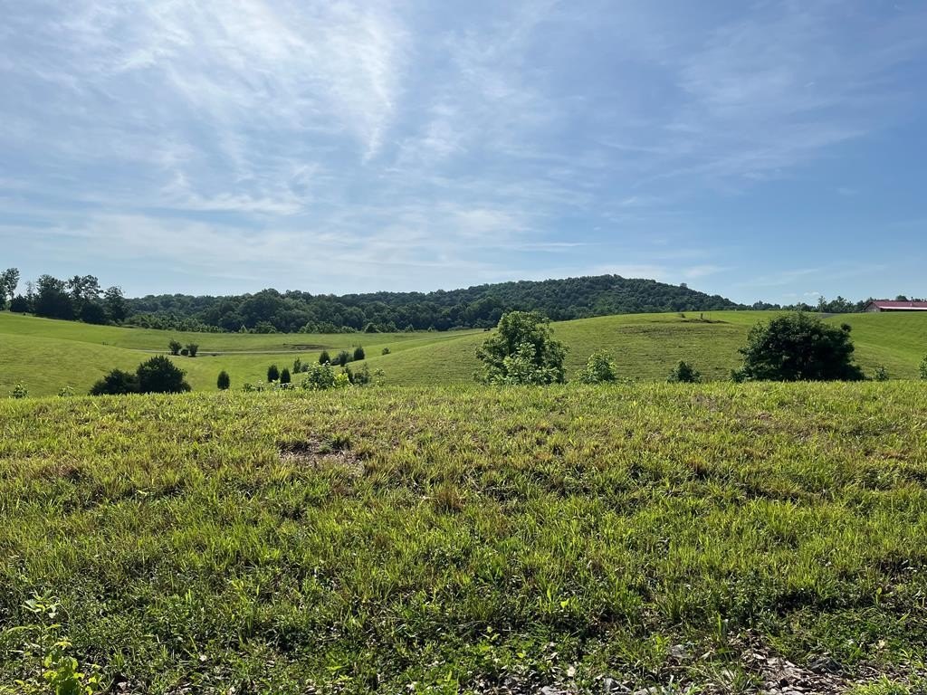 Other - lot: 74, Byrdstown, TN