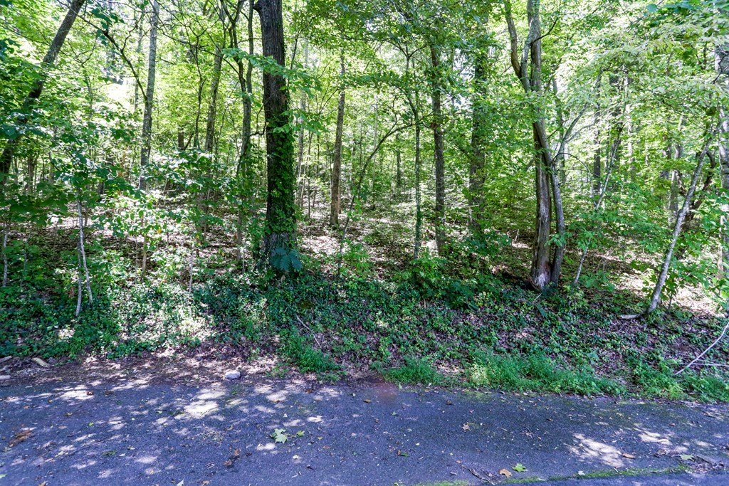 Other - Lot 6a Kilpatrick Point, Hayesville, NC