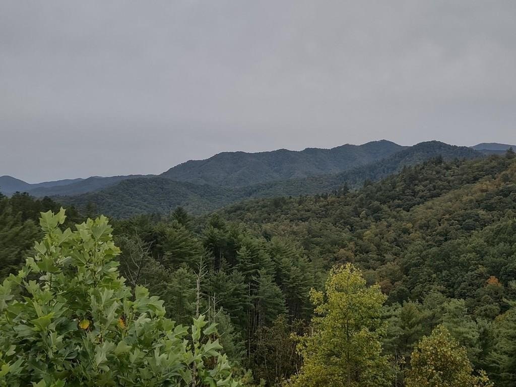 Other - 670 Big Pine Trace lot: 45, Bryson City, NC