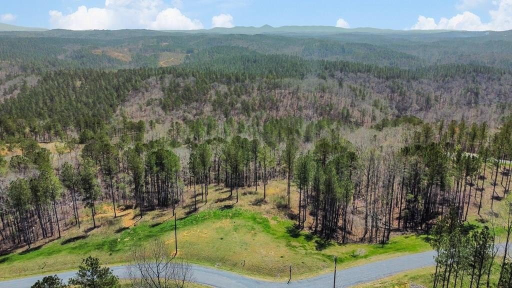 Other - Blalock Mountain Road lot: 195, Talking Rock, GA