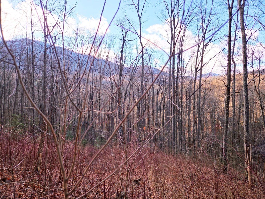 Other - 900 Fern Trail lot: 31, Waynesville, NC