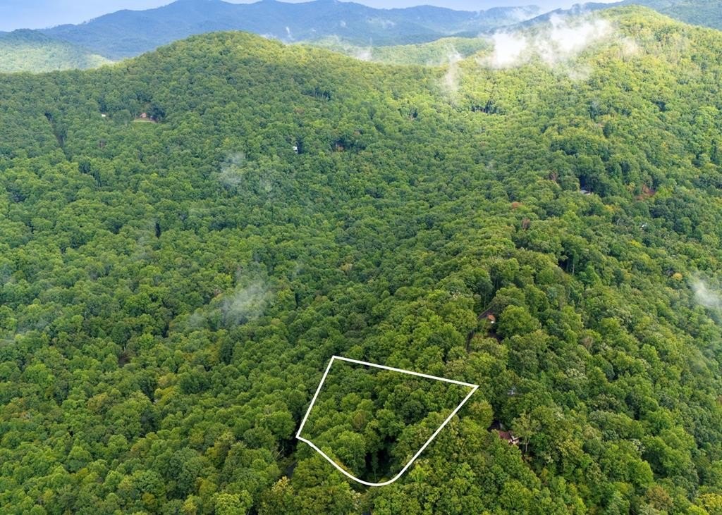 Other - Young Cove Road lot: 226, Franklin, NC
