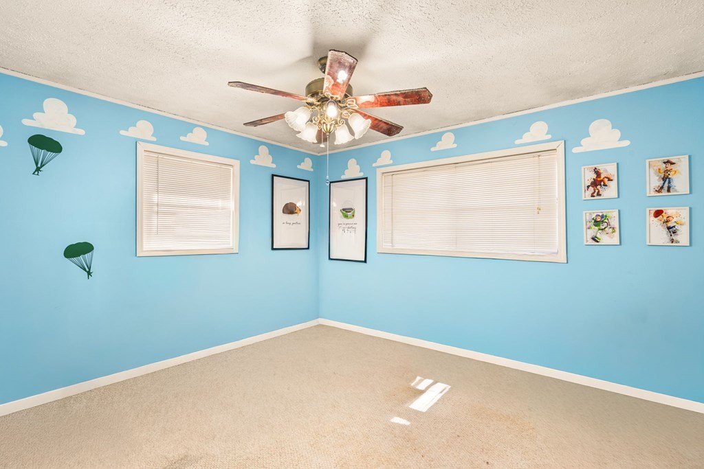 Single Family 3BR 1BA - 2906 Douthit Road, Mineral Bluff, GA