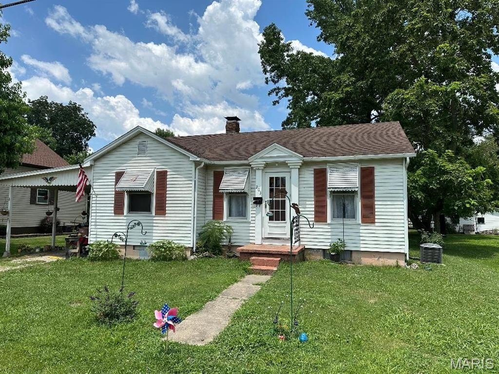 Single Family 2BR 1BA - 203 E Jenkins Street, Steeleville, IL