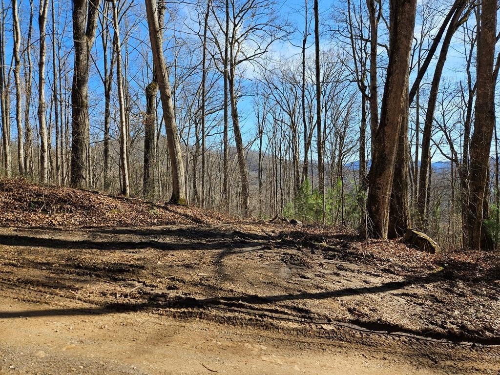 Other - 262 Si Knob, Cullowhee, NC